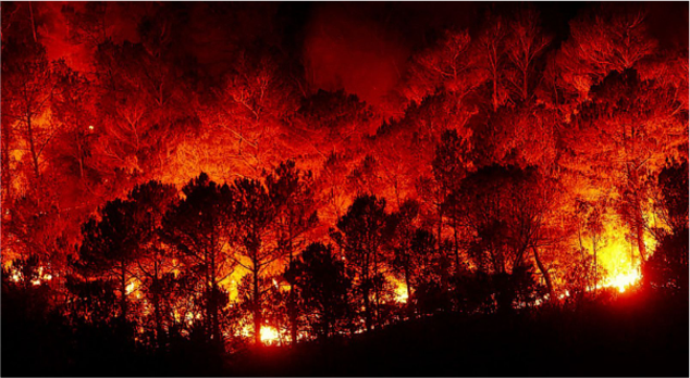 Cenando con Marc Castellnou — HAUS Healthy Buildings